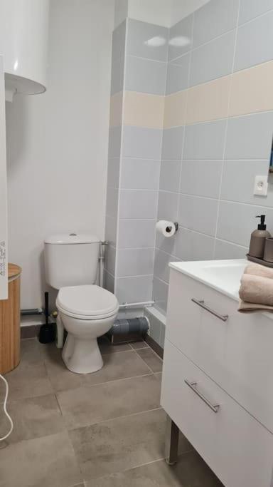 Appartamento Le Green Parc, Libourne Hypercentre, Netflix, Clim Esterno foto